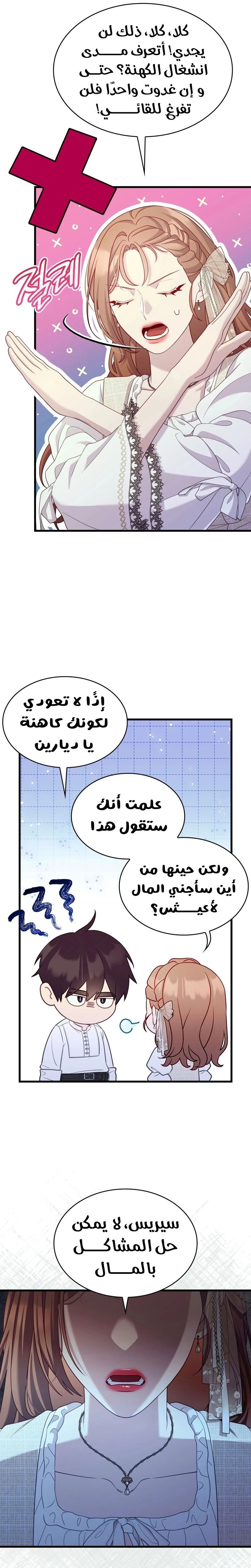 الصفحة 13