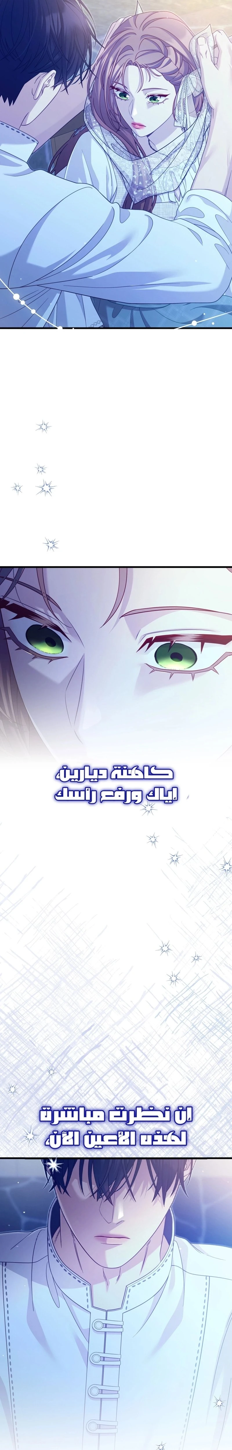 الصفحة 26