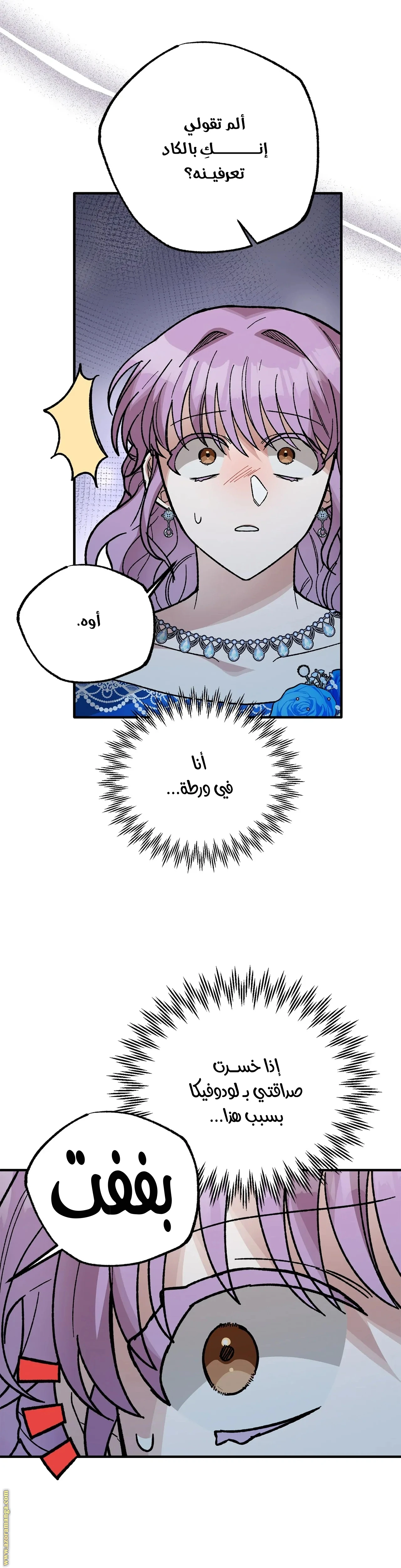 الصفحة 13