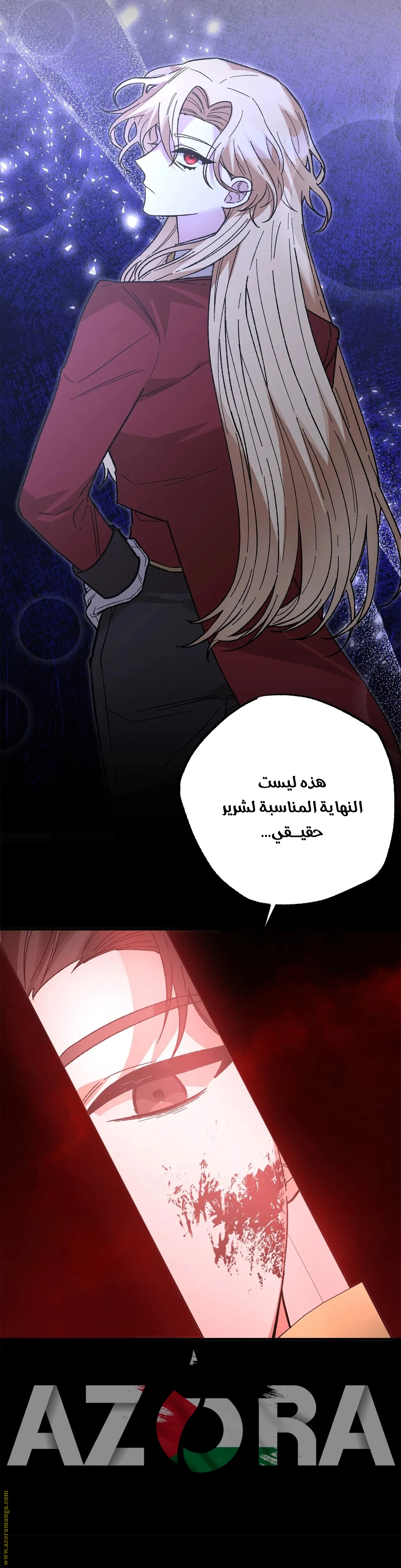 الصفحة 25