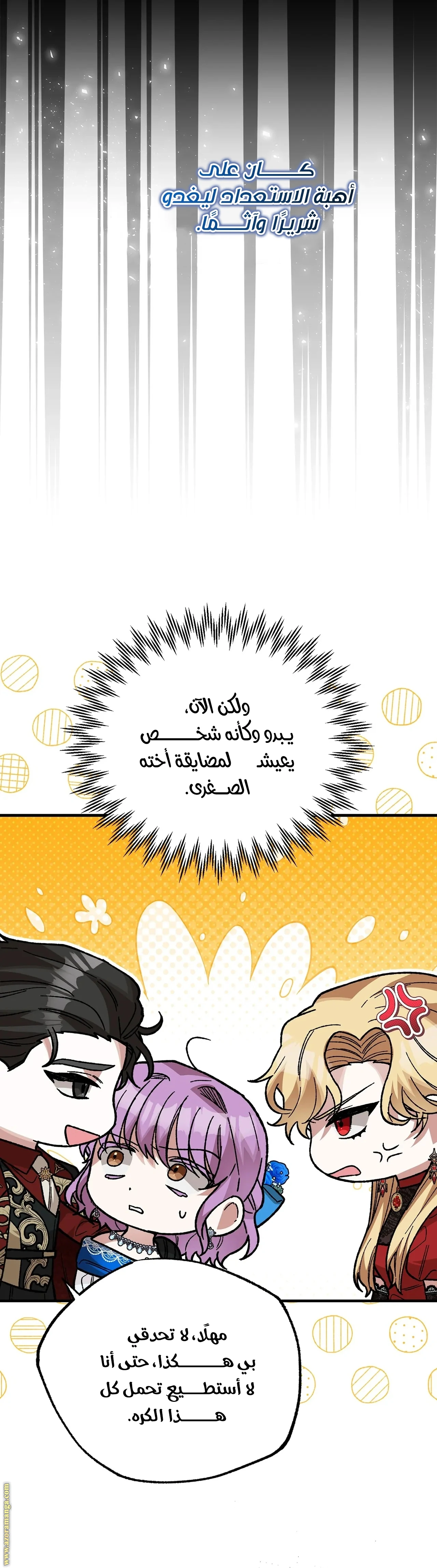 الصفحة 27