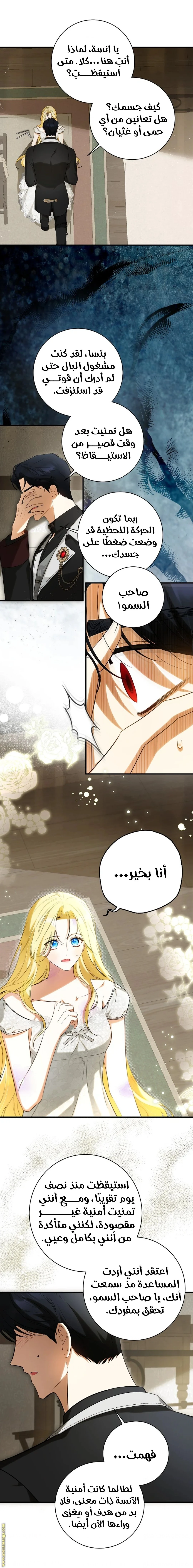 الصفحة 3