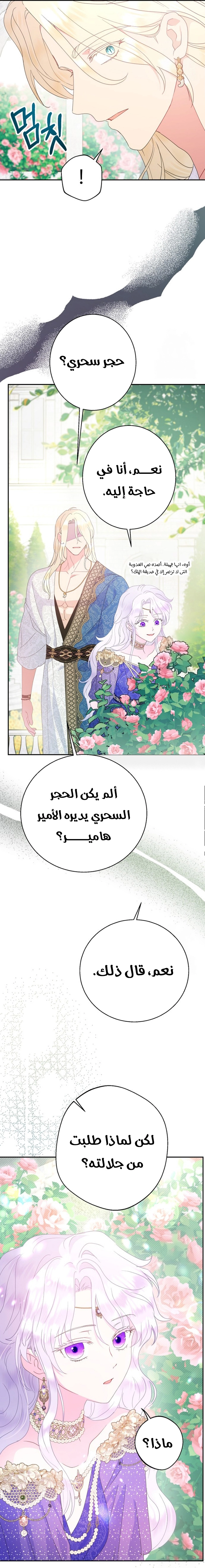 الصفحة 24