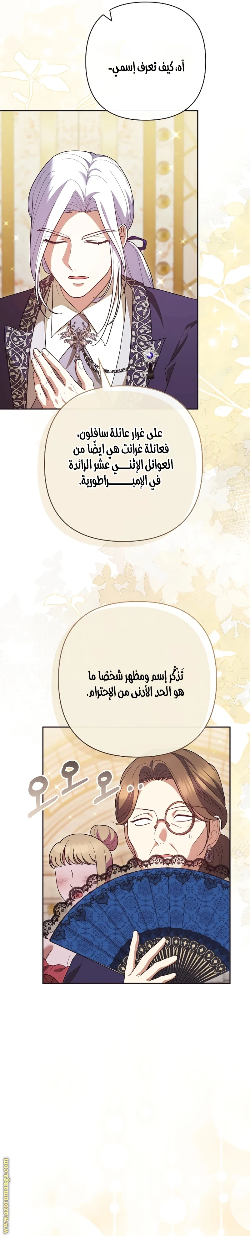 الصفحة 17