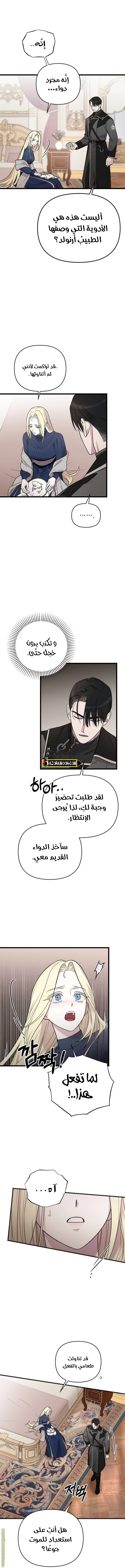 الصفحة 6