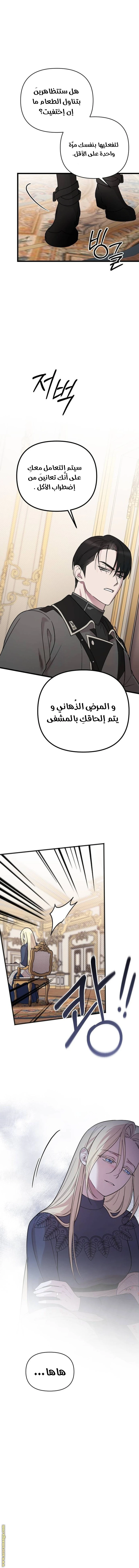 الصفحة 13