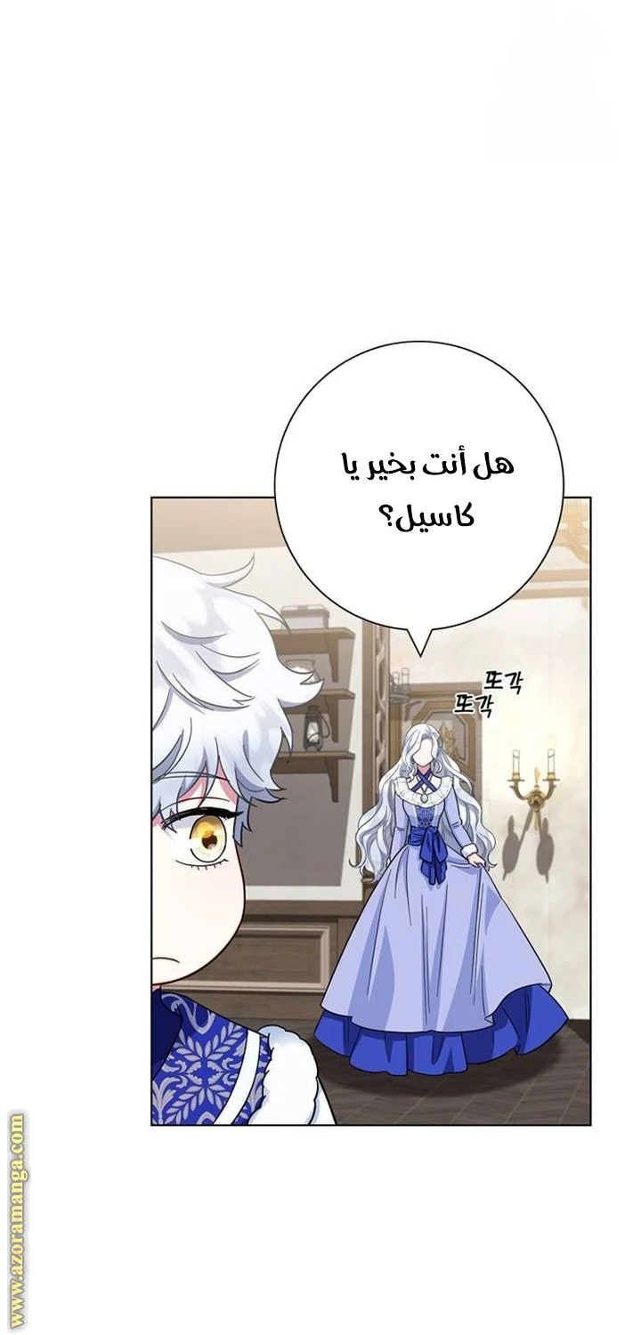 الصفحة 28