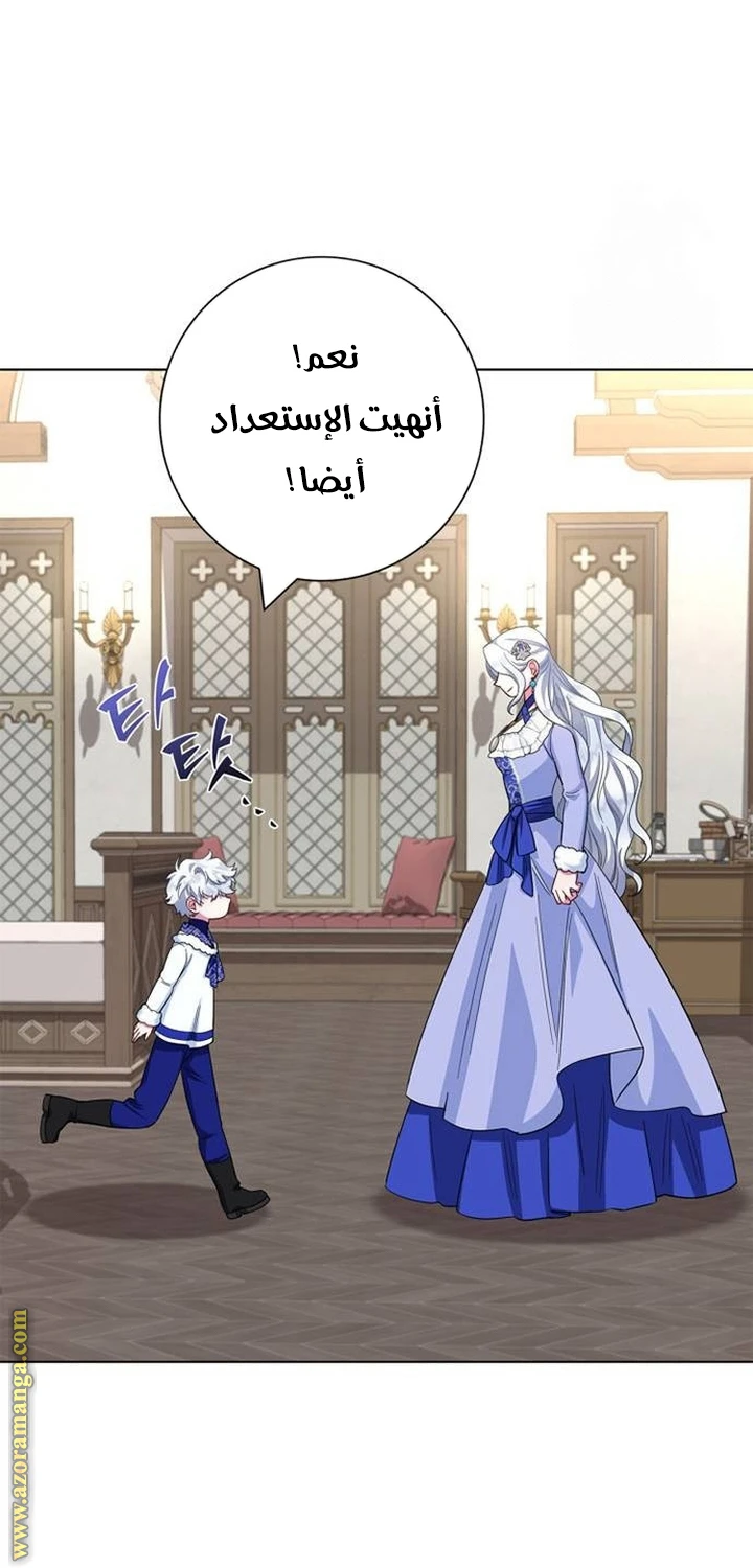 الصفحة 29