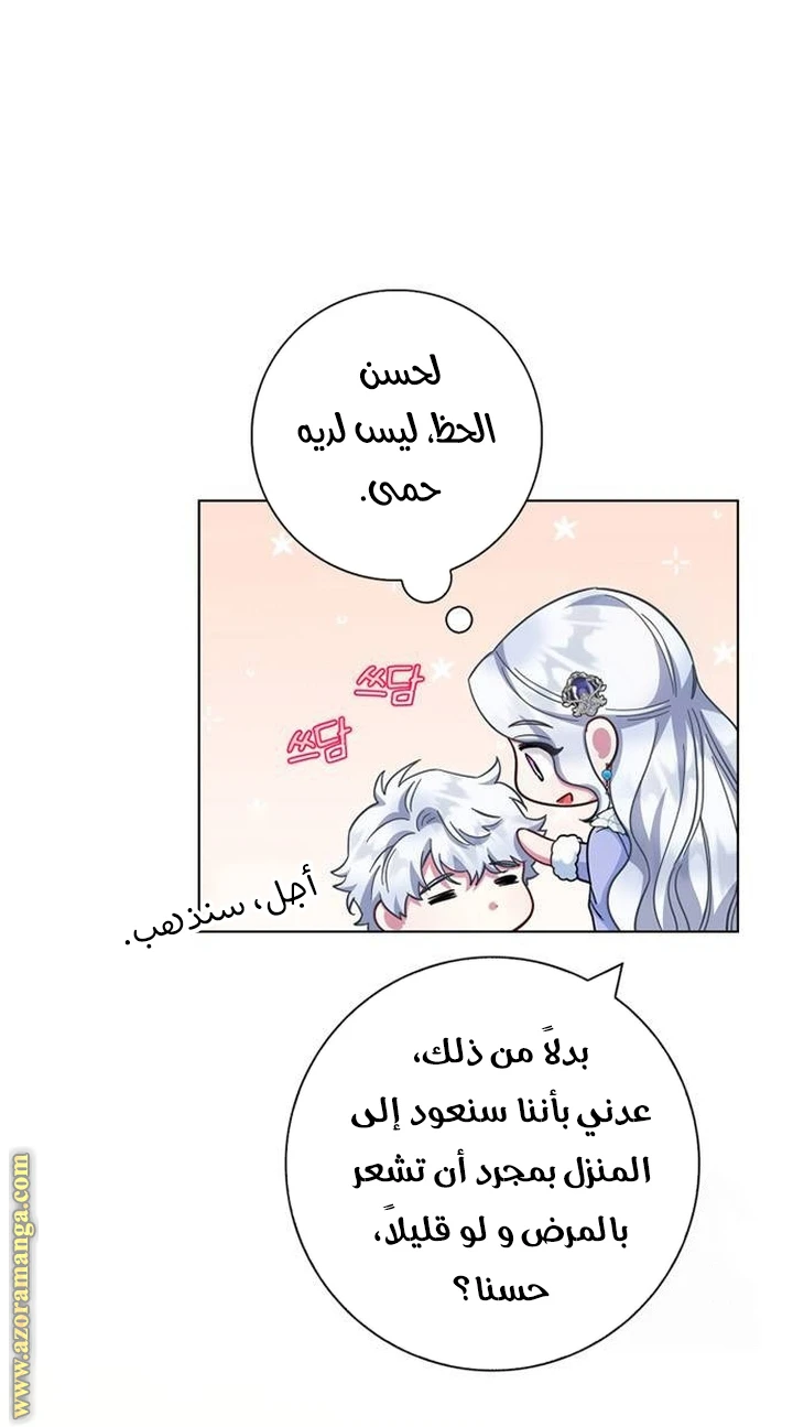 الصفحة 31