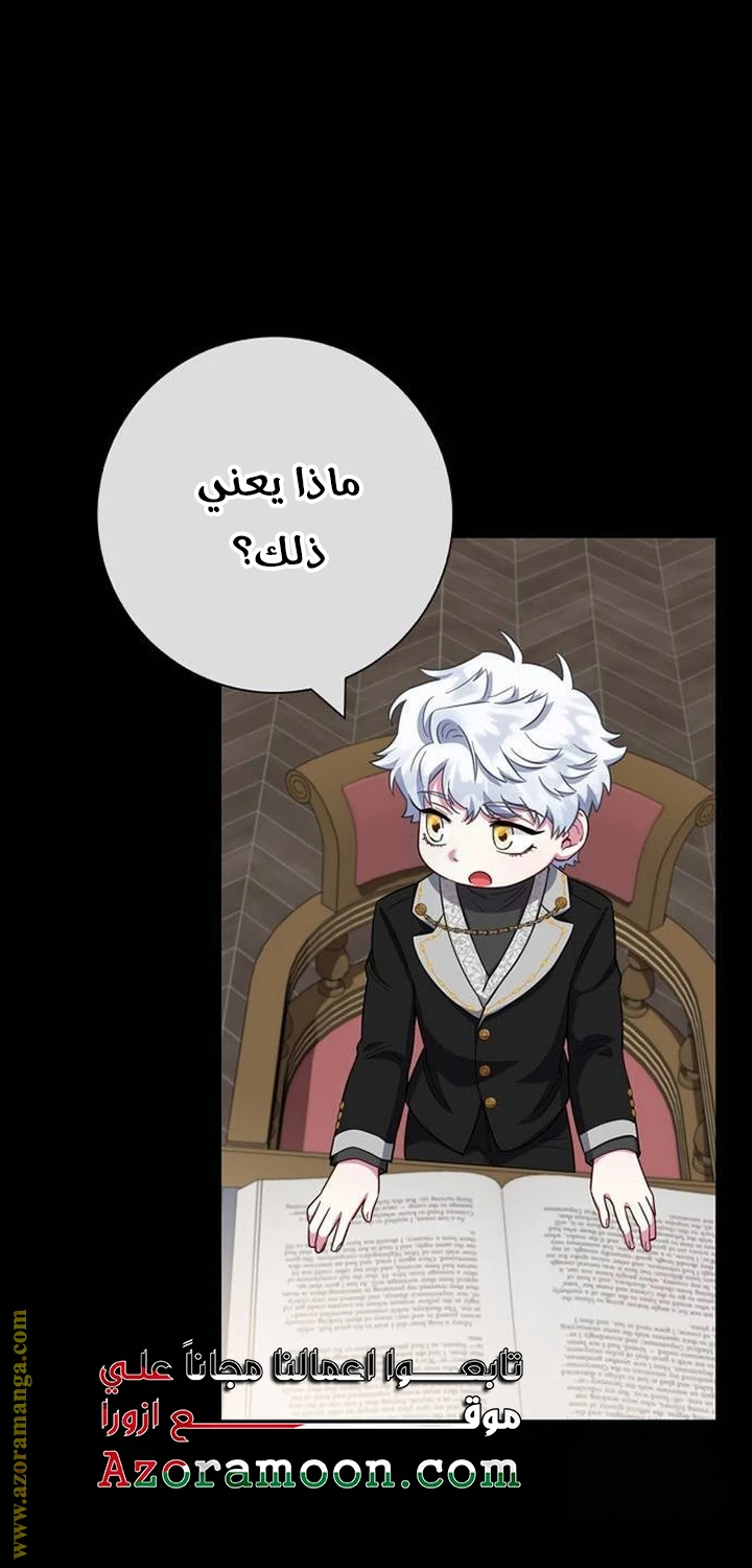 الصفحة 41