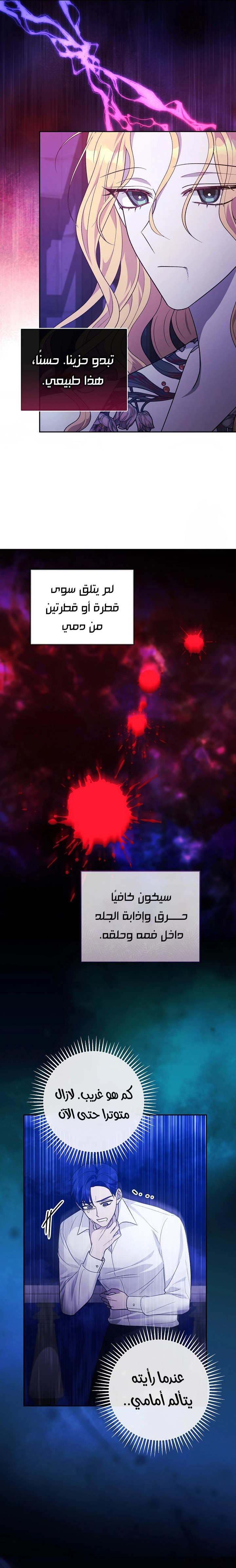 الصفحة 12