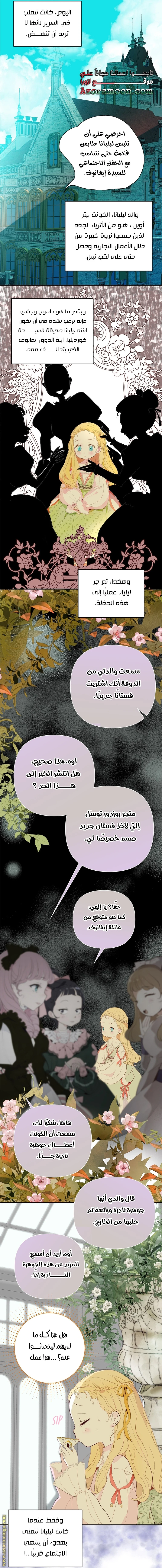 الصفحة 17