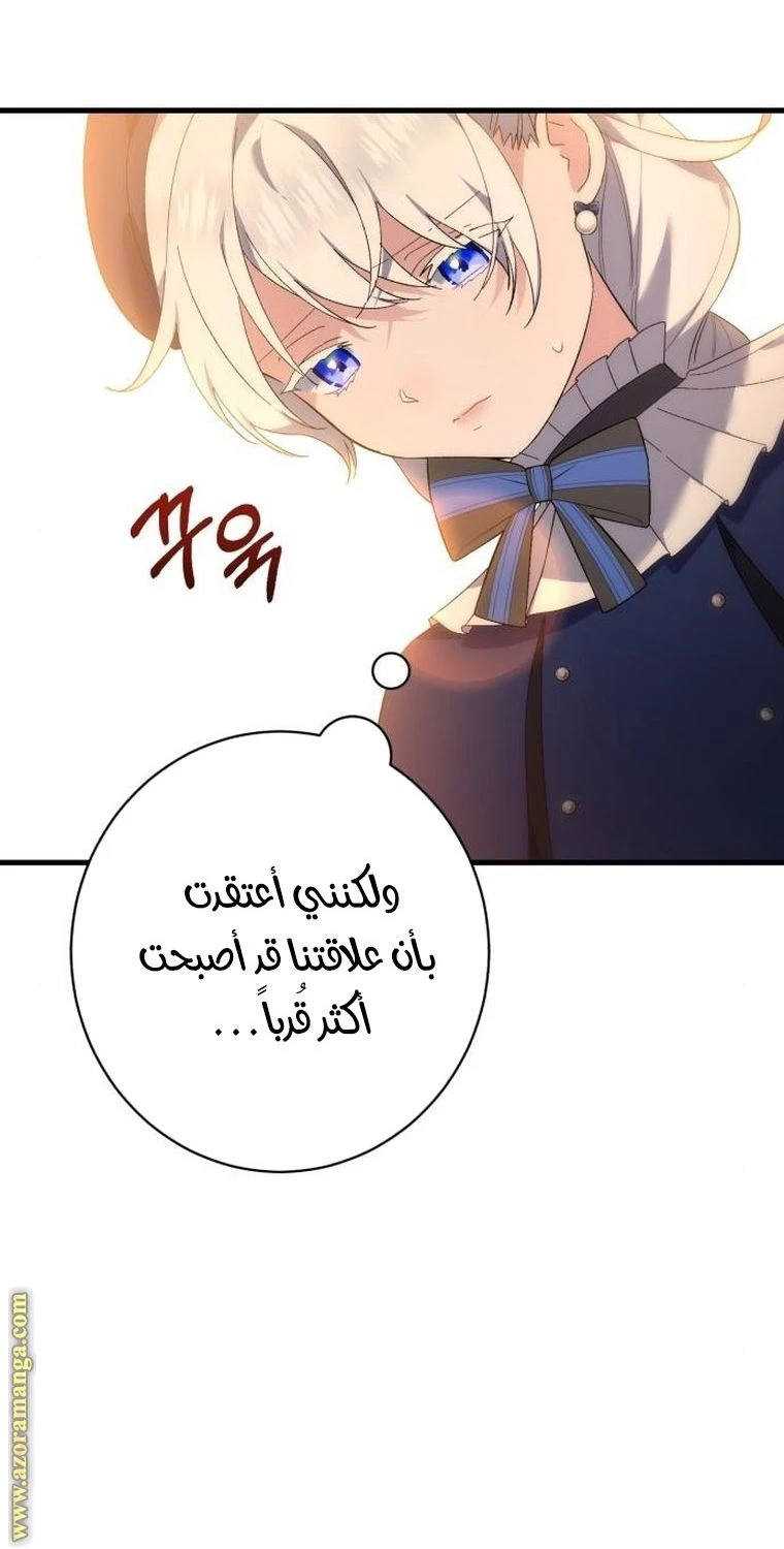 الصفحة 26