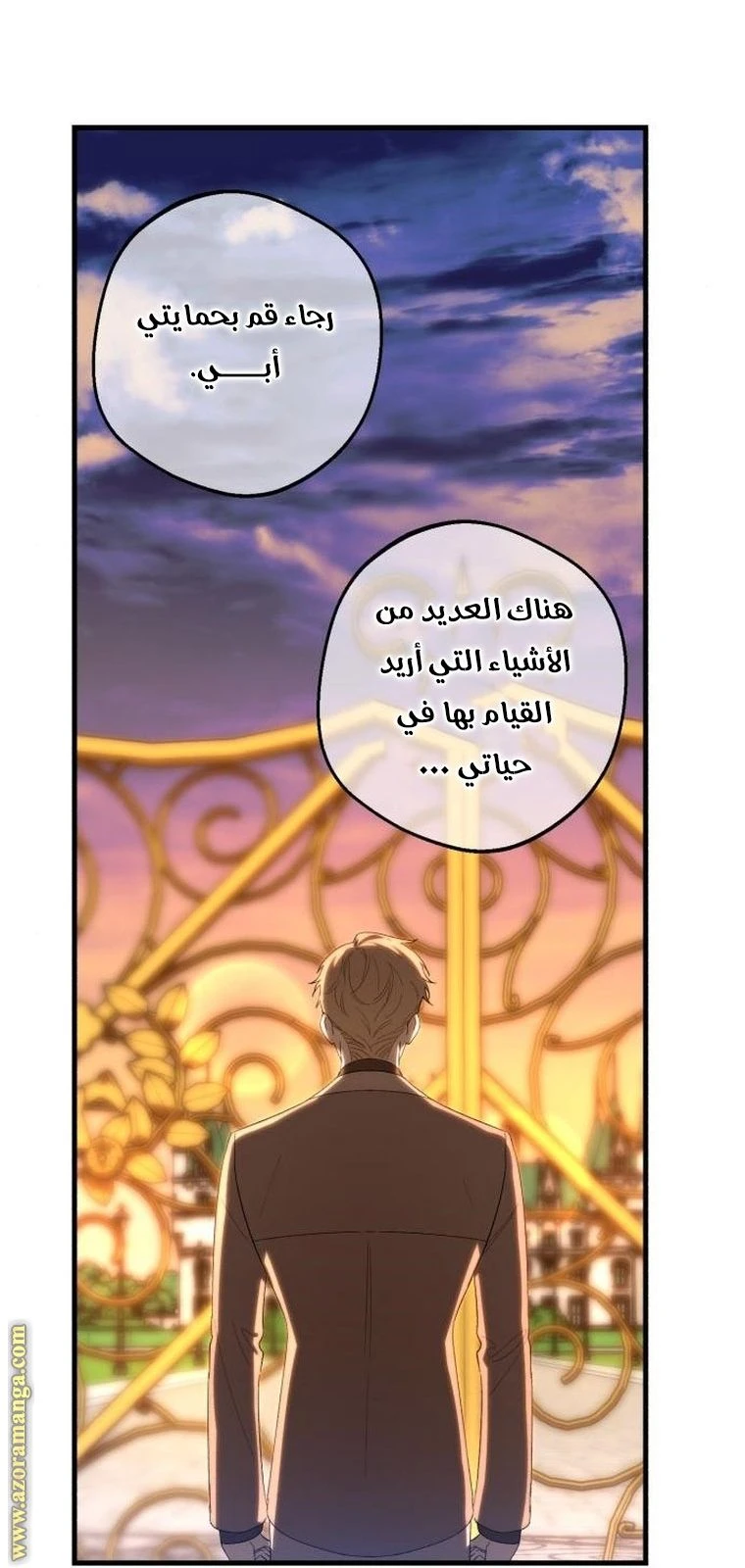 الصفحة 27