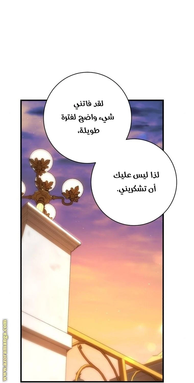الصفحة 41