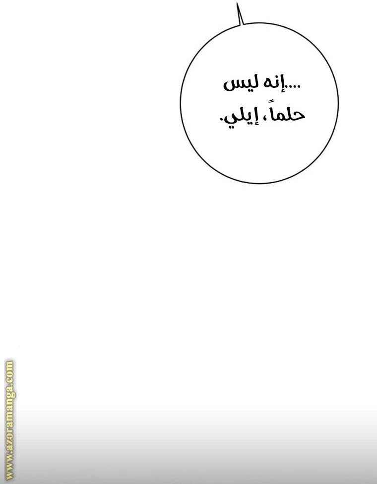 الصفحة 52