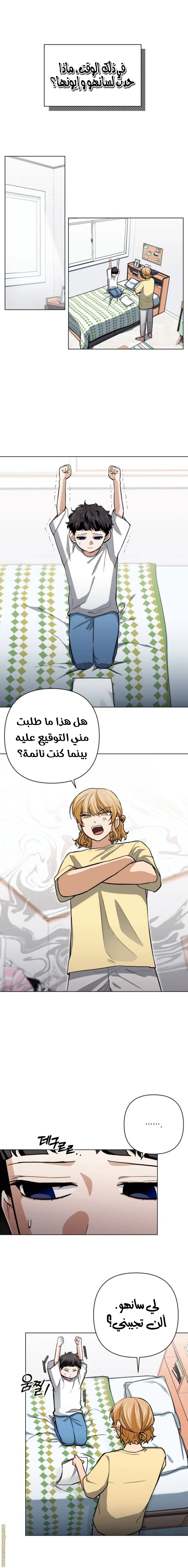 الصفحة 13