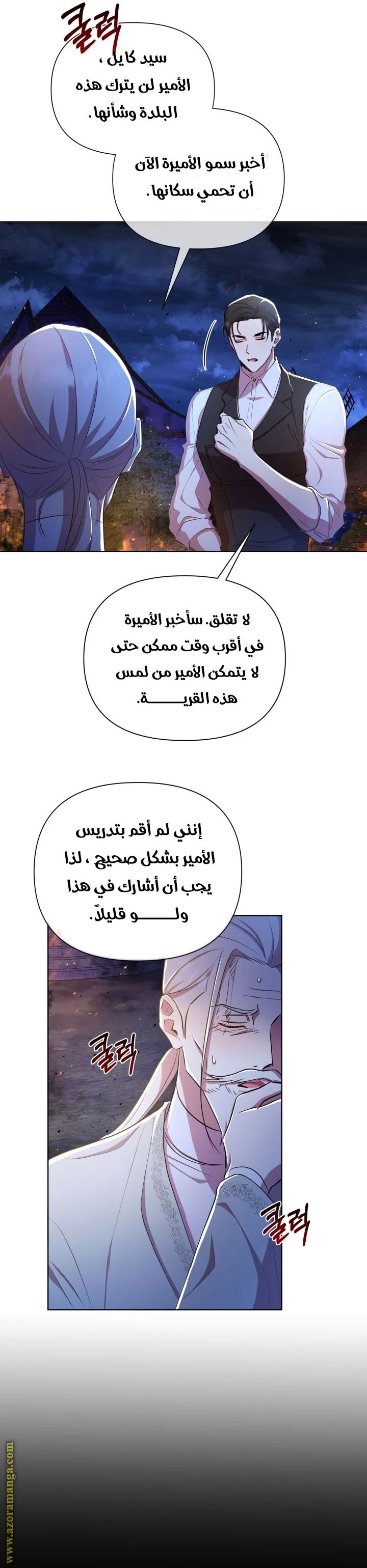 الصفحة 11