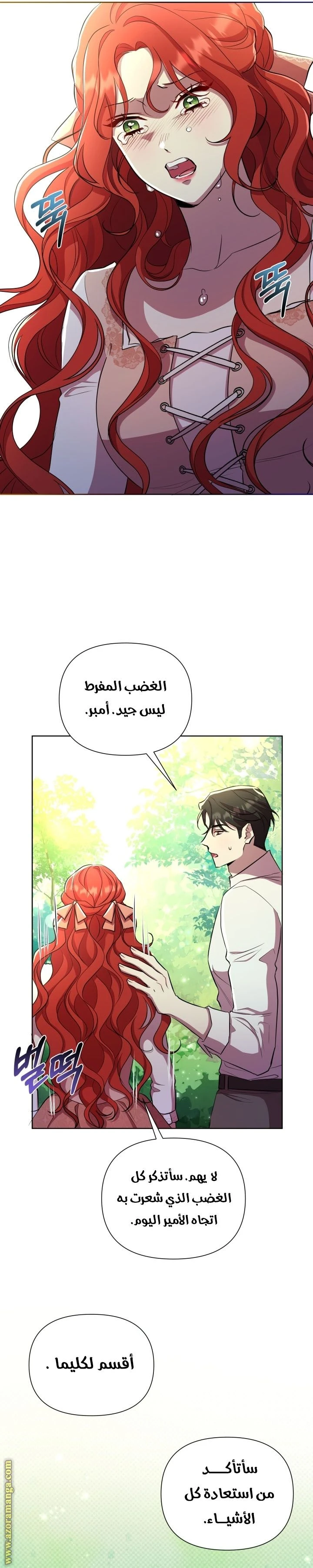 الصفحة 29