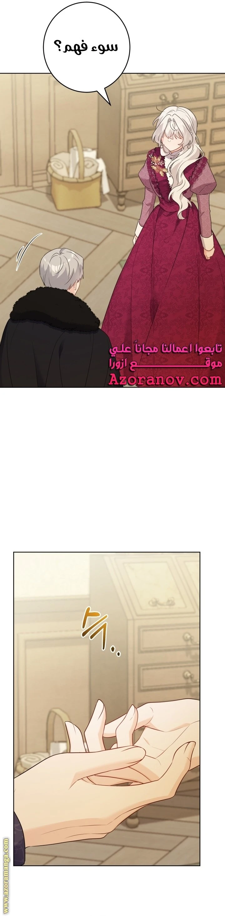 الصفحة 27