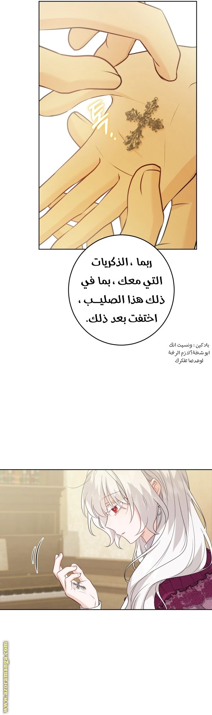 الصفحة 29
