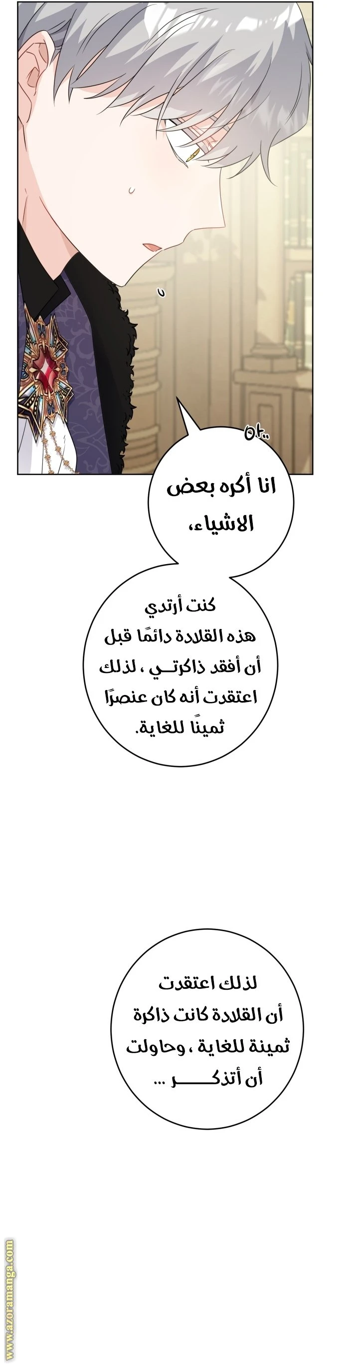 الصفحة 31