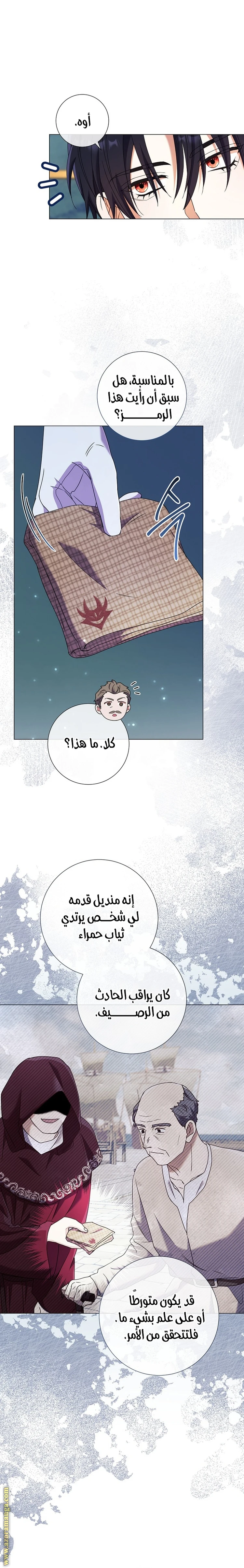 الصفحة 17