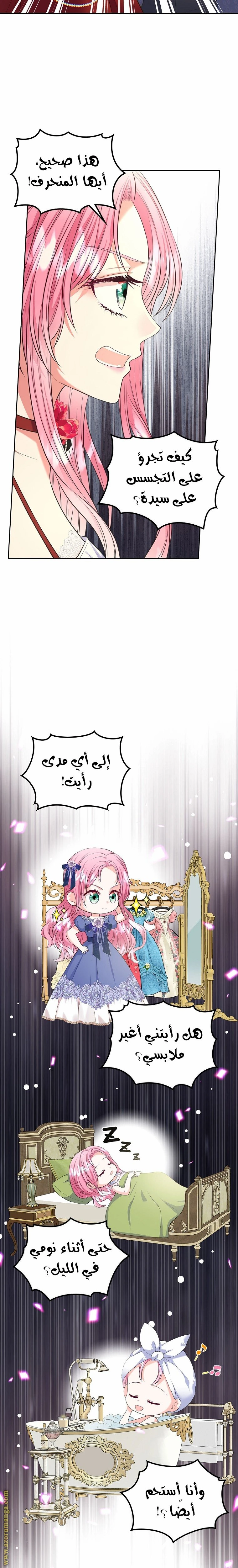 الصفحة 11