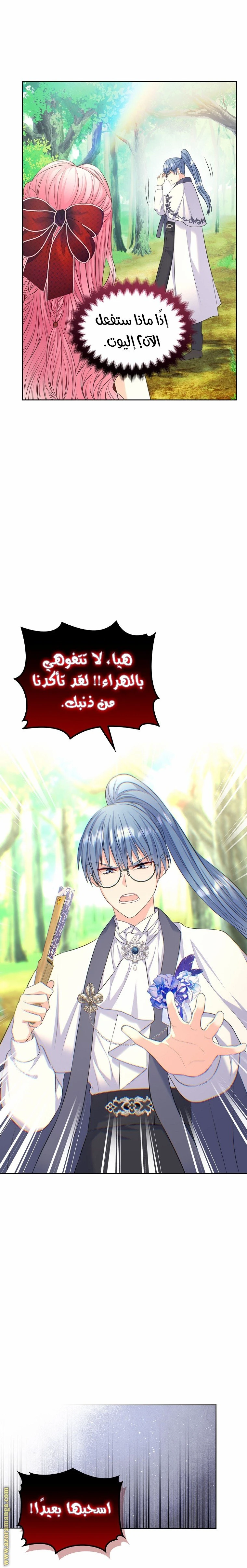 الصفحة 17