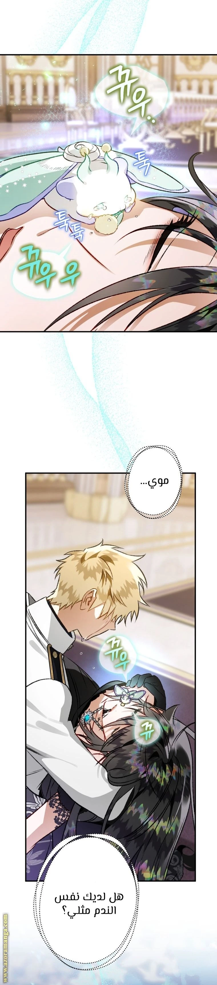 الصفحة 11