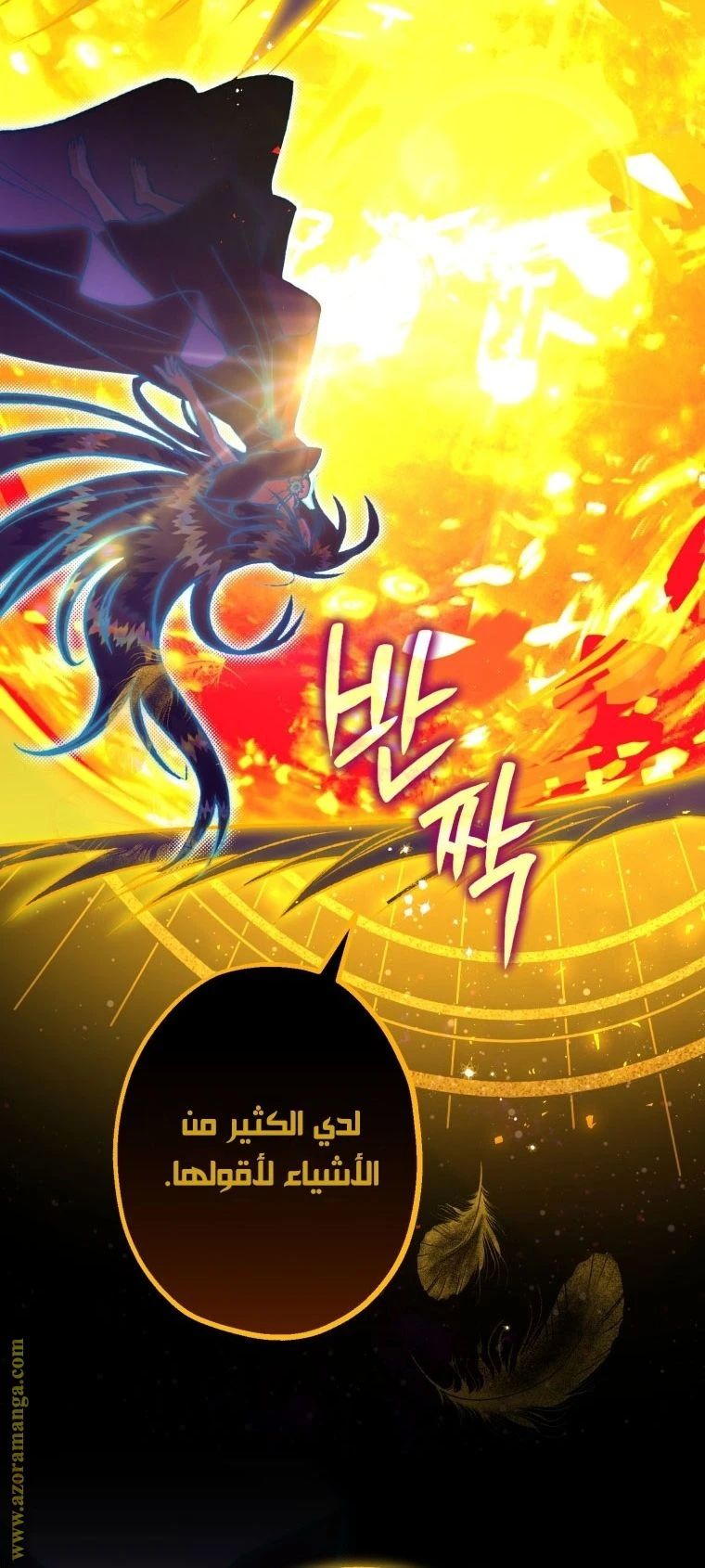 الصفحة 21