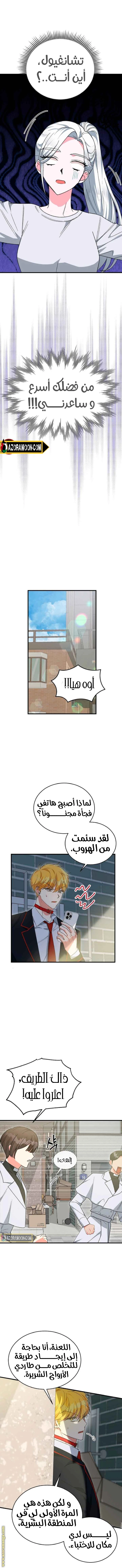 الصفحة 13