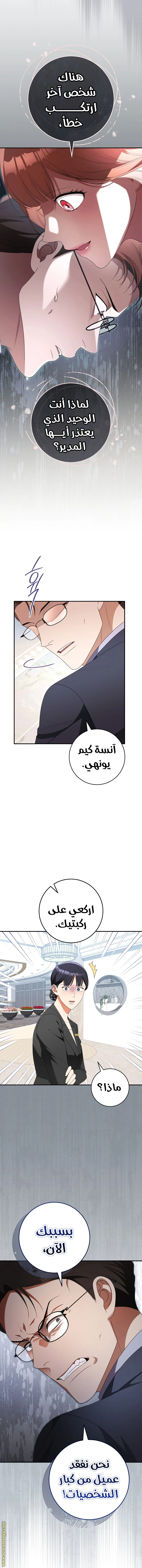 الصفحة 13