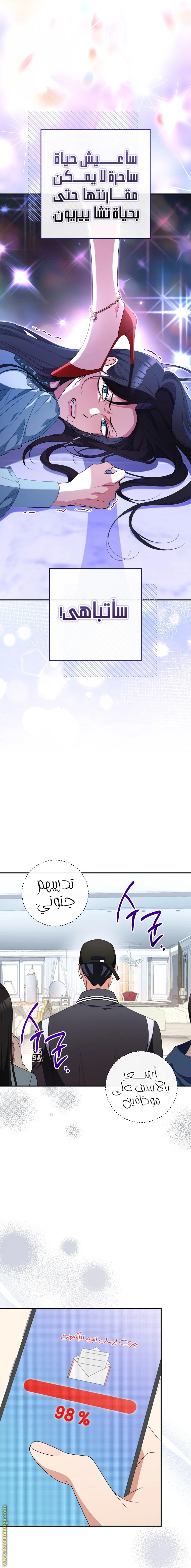 الصفحة 17
