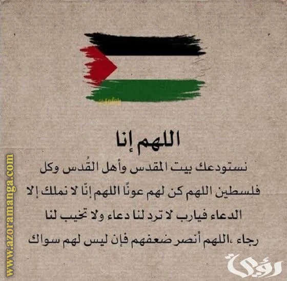 الصفحة 21