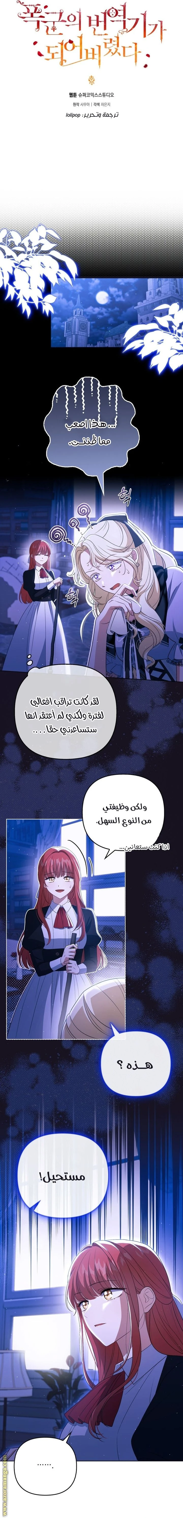 الصفحة 13