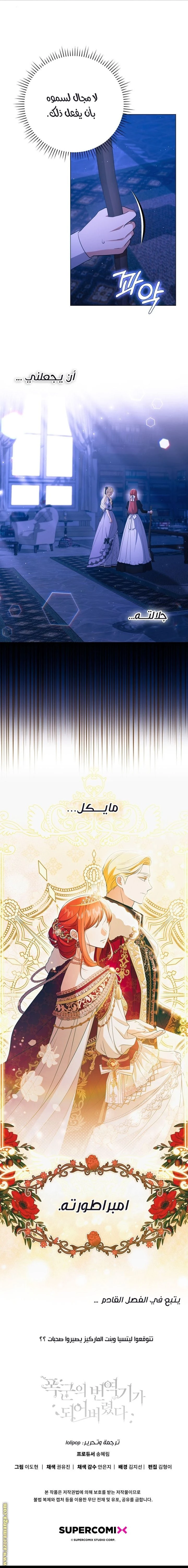 الصفحة 17