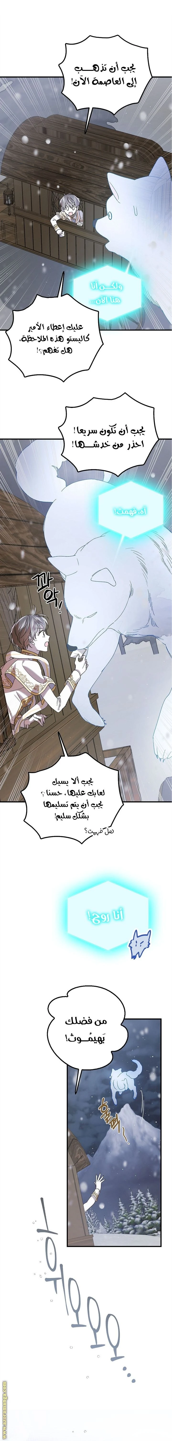 الصفحة 17