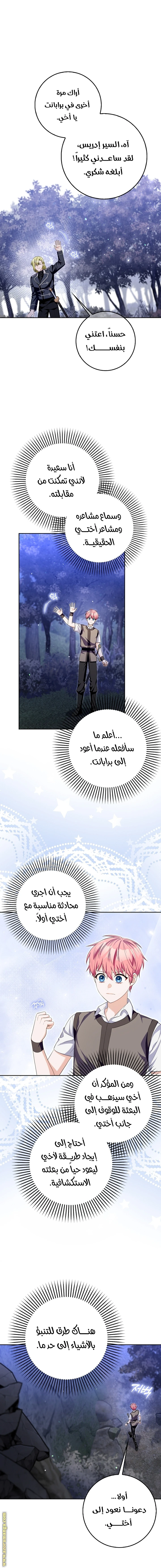 الصفحة 13