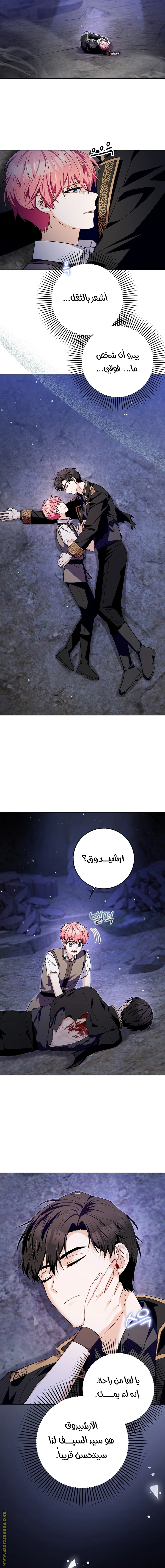 الصفحة 19