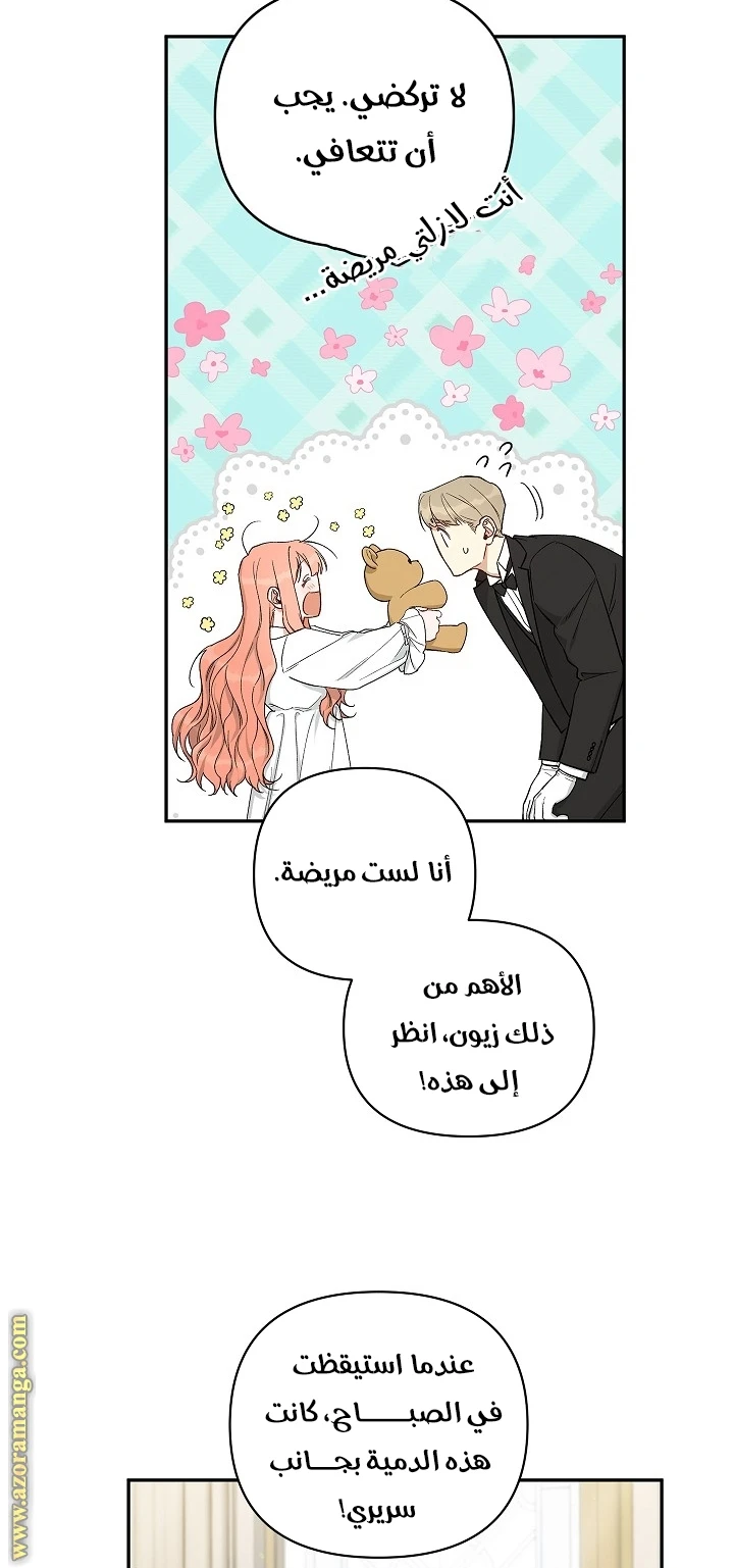 الصفحة 13