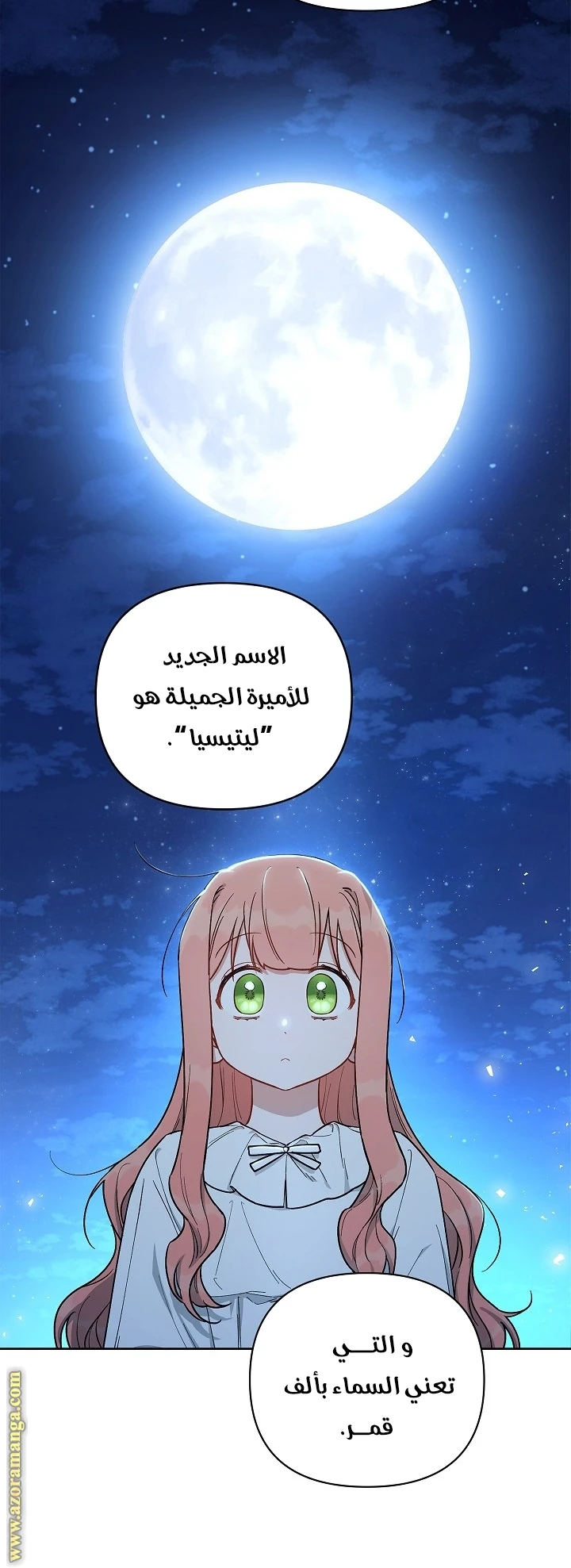 الصفحة 25