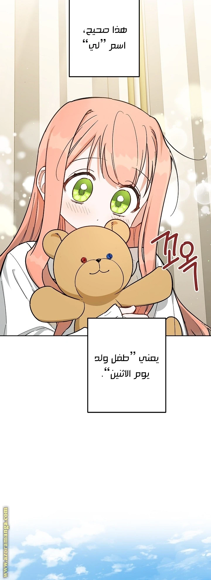 الصفحة 27