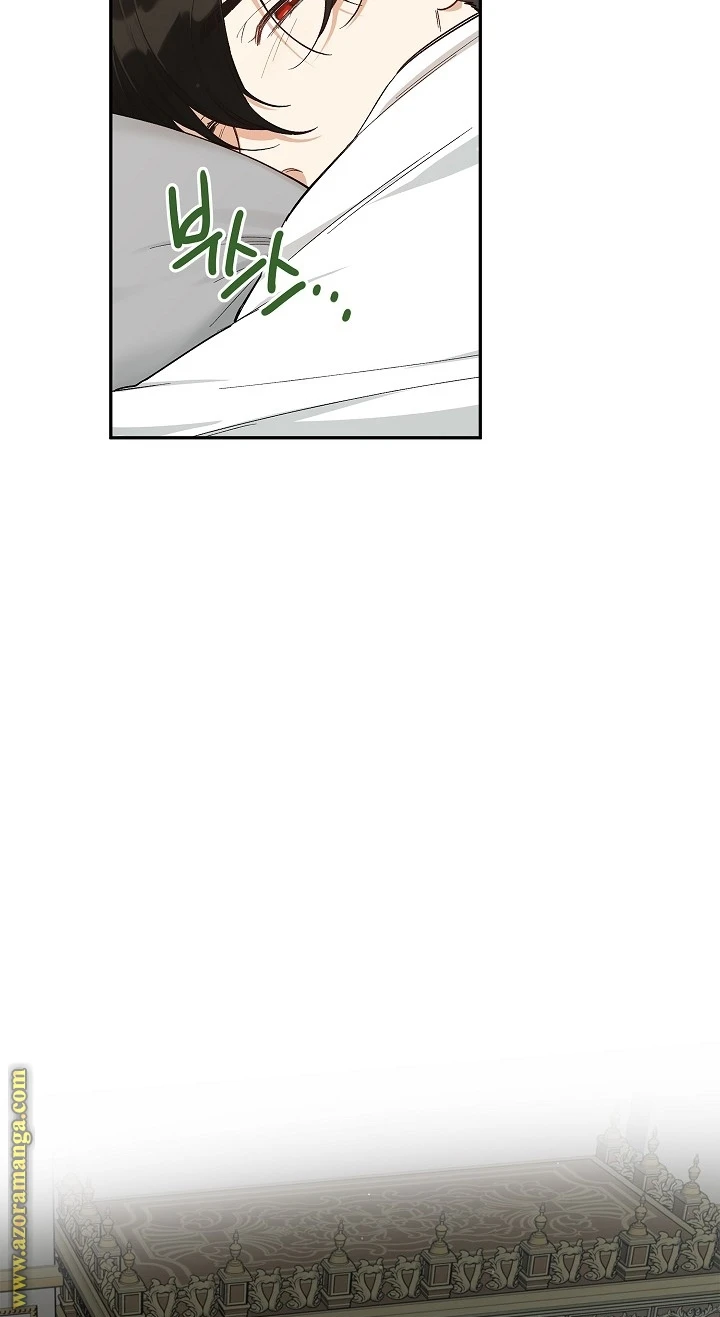 الصفحة 41