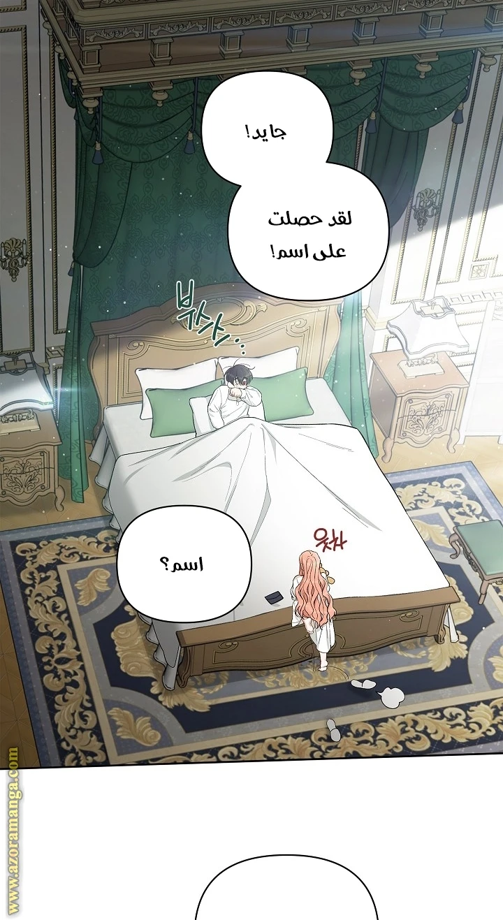 الصفحة 42