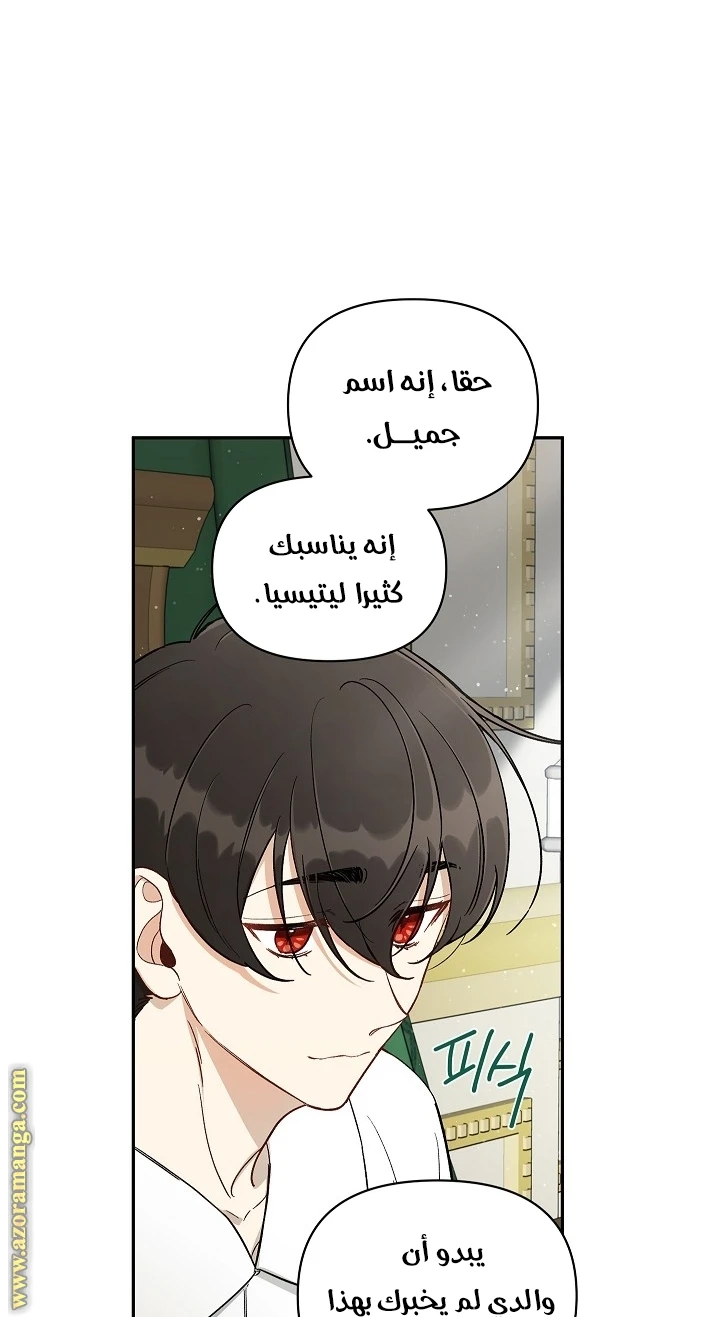 الصفحة 44