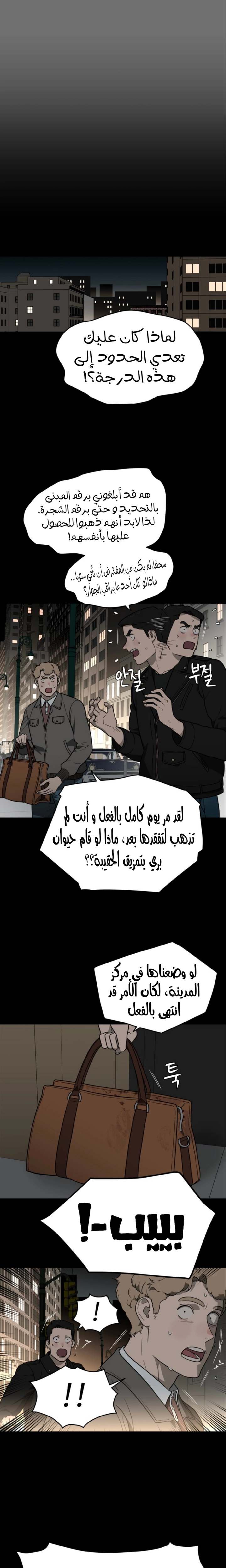 الصفحة 13