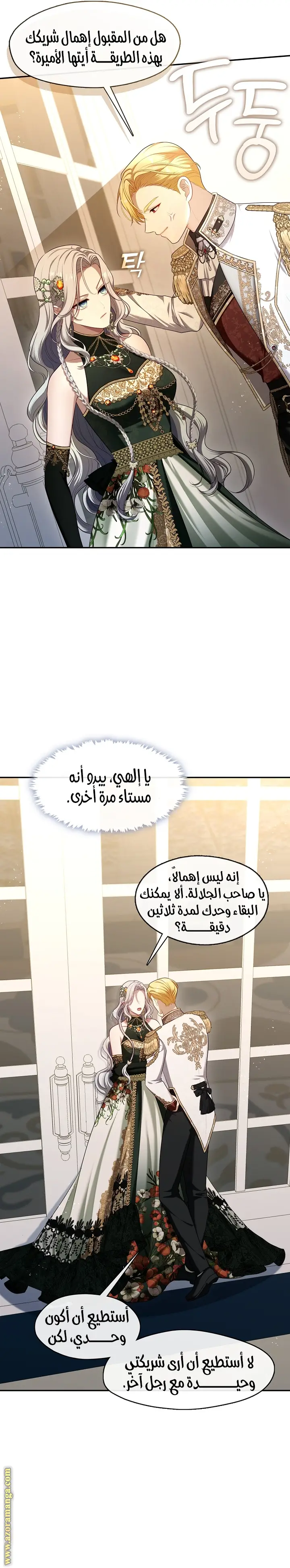 الصفحة 13