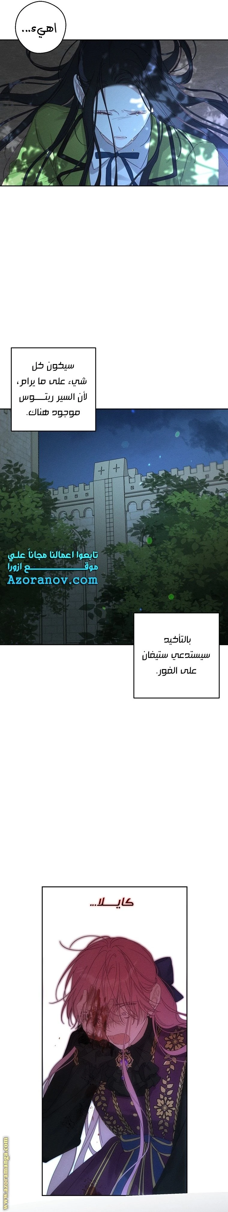 الصفحة 12