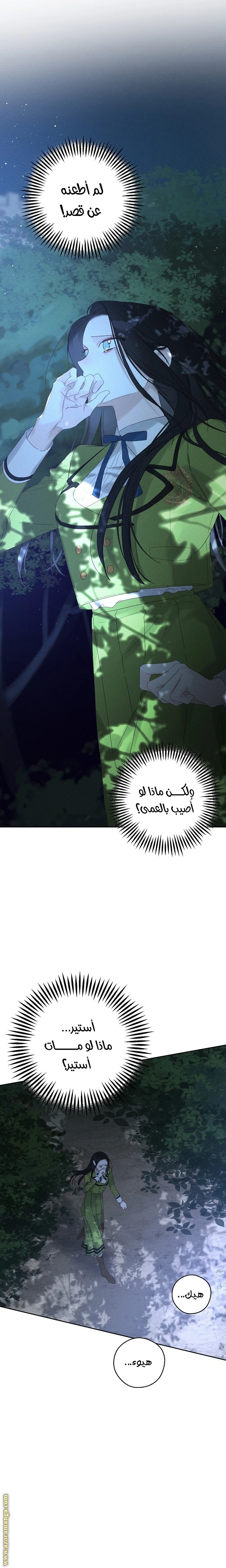 الصفحة 13